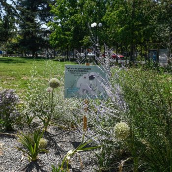 Vecinos ya pueden disfrutar de la renovada plaza Loreto Cousiño