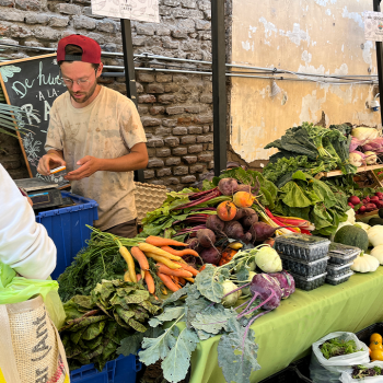 Verde Urbano: Providencia estrena espacio sustentable junto a Mercado Huertero