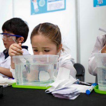 La ciencia y la creatividad se toman la XI Feria Científica Escolar de Providencia