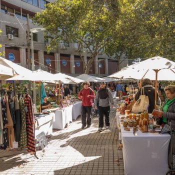 Ley de Cumplimiento Tributario: Impulsamos charlas y clínicas para facilitar la formalización de emprendedores