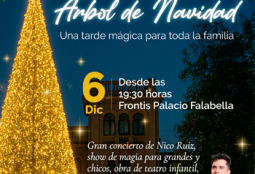 Encendido del Árbol de Navidad