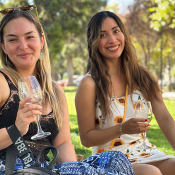 III Feria de vinos Quinta Alegre: Barrio Parque Bustamante revive su herencia vitivinícola