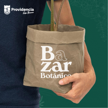 Bazar Botánico: viveros, emprendedores, charlas y talleres