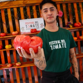 Festival del Tomate 2026: Llega este fin de semana a Providencia
