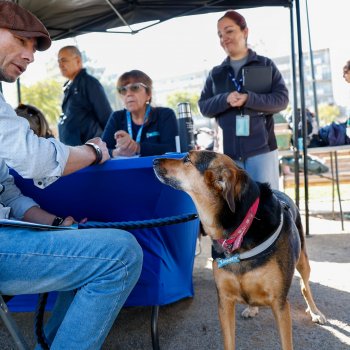 ¡Llegó abril! Conoce las fechas de los operativos veterinarios gratuitos
