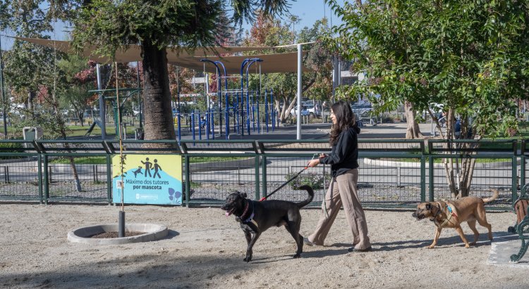 Plaza Río de Janeiro: ya está habilitada la remodelada zona canina