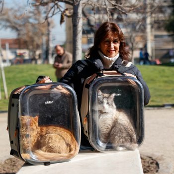 ¡Llegó junio! Revisa las fechas de los operativos veterinarios gratuitos