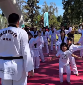 Encuentro de Taekwondo